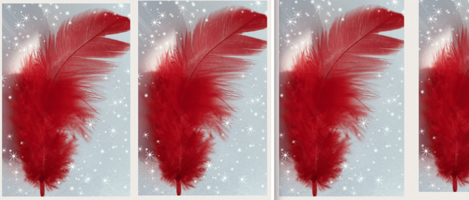 43742071_2174896119458894_4207591881489514496_n