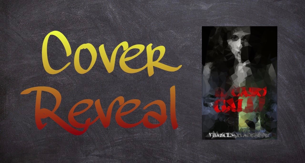 Cover Reveal: Il caso Galli di Francesco Accardo